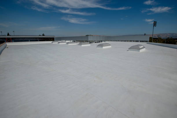 Best Roof Coating and Sealing  in Beatrice, NE