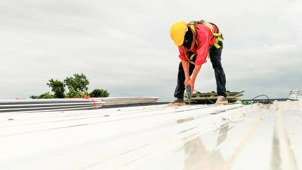 Best Flat Roofing  in Beatrice, NE